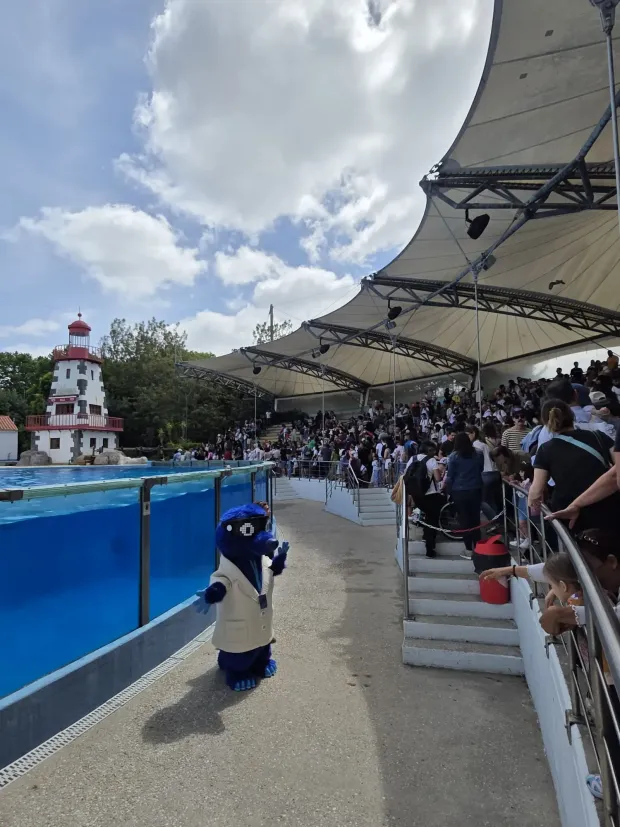 Apresentação Theo Baia Golfinhos Zoo